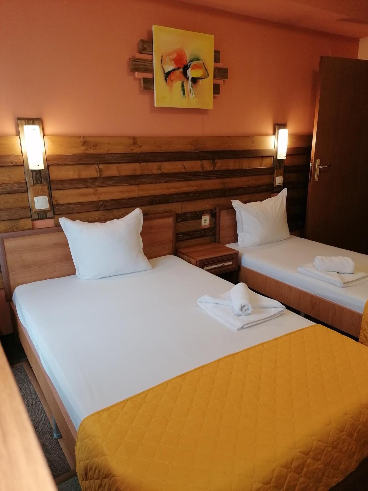 Boutique Guest House Ikonomov バンスコ エクステリア 写真