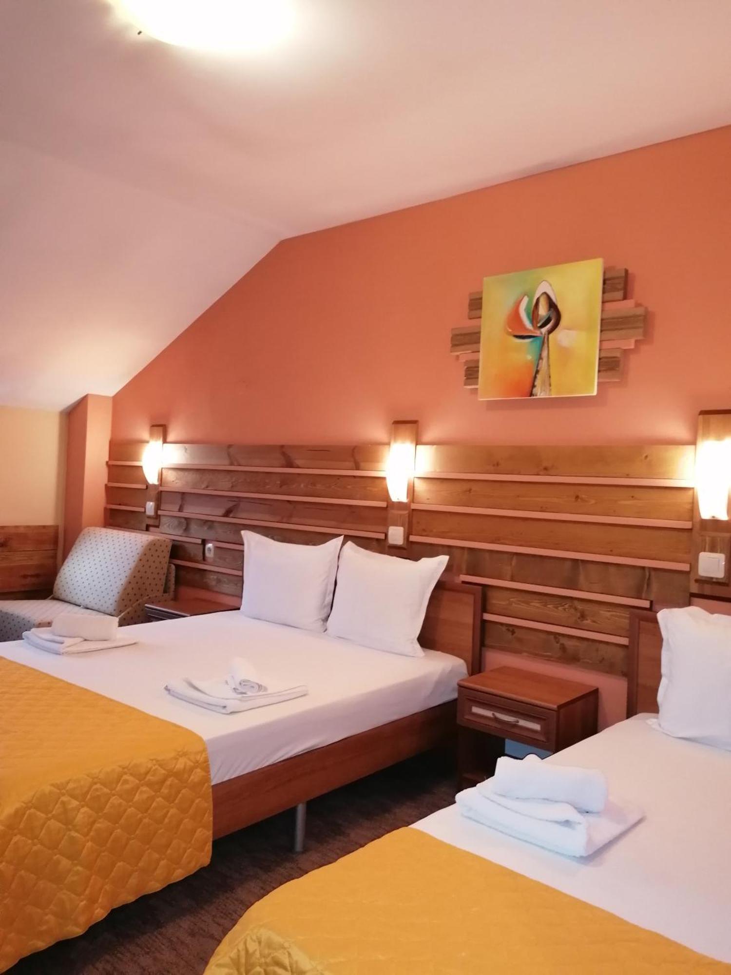 Boutique Guest House Ikonomov バンスコ エクステリア 写真